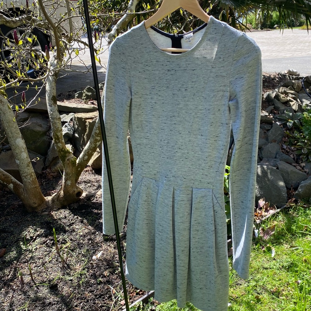 Wilfred long sleeved dress.